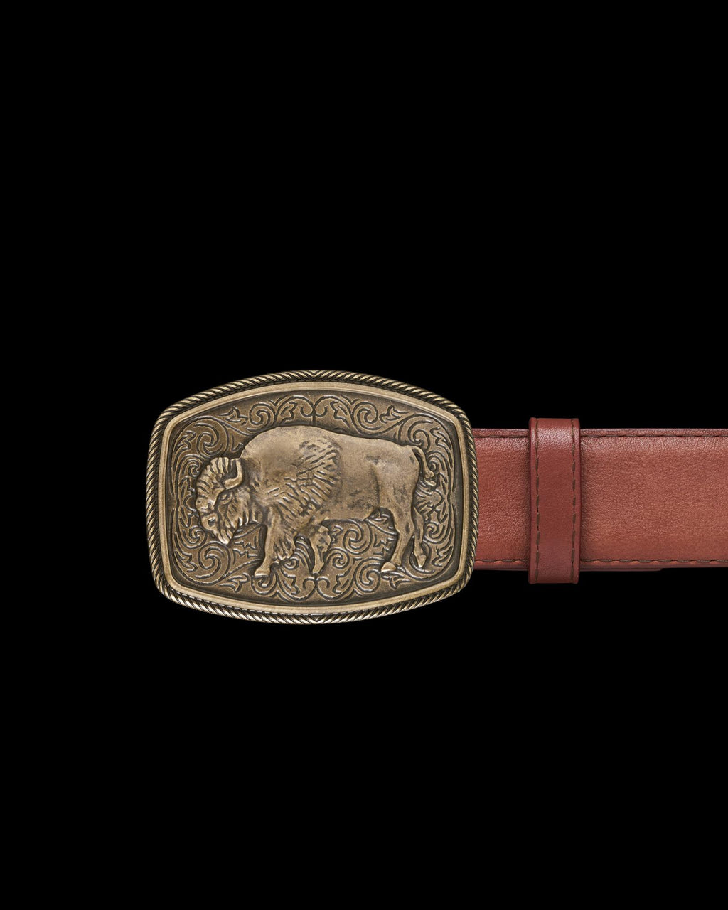 Closeup view of Bison Buckle - Antique Brass