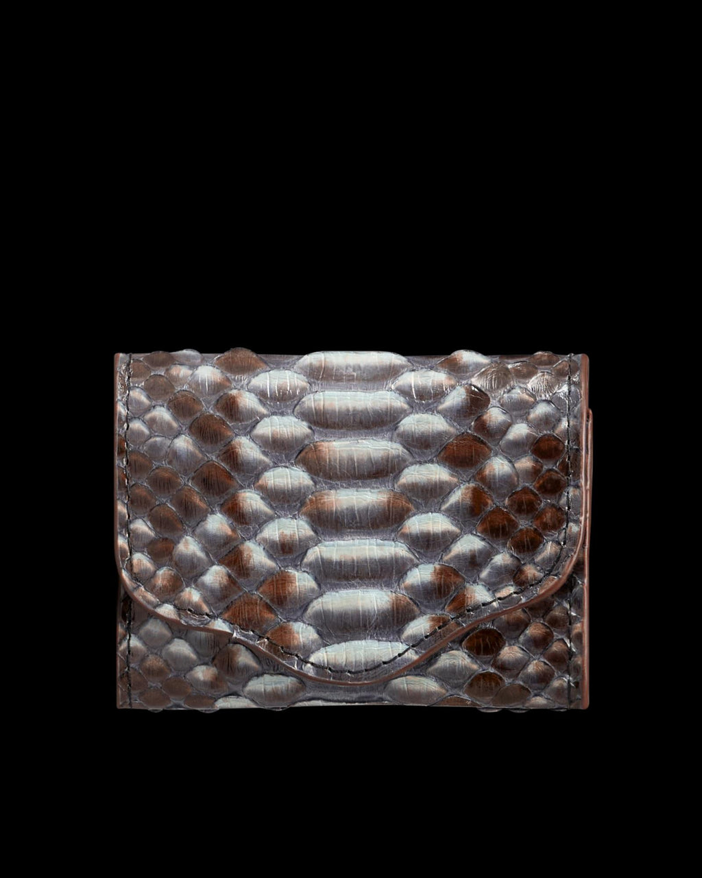 View of Python Card Case - Blue Multi