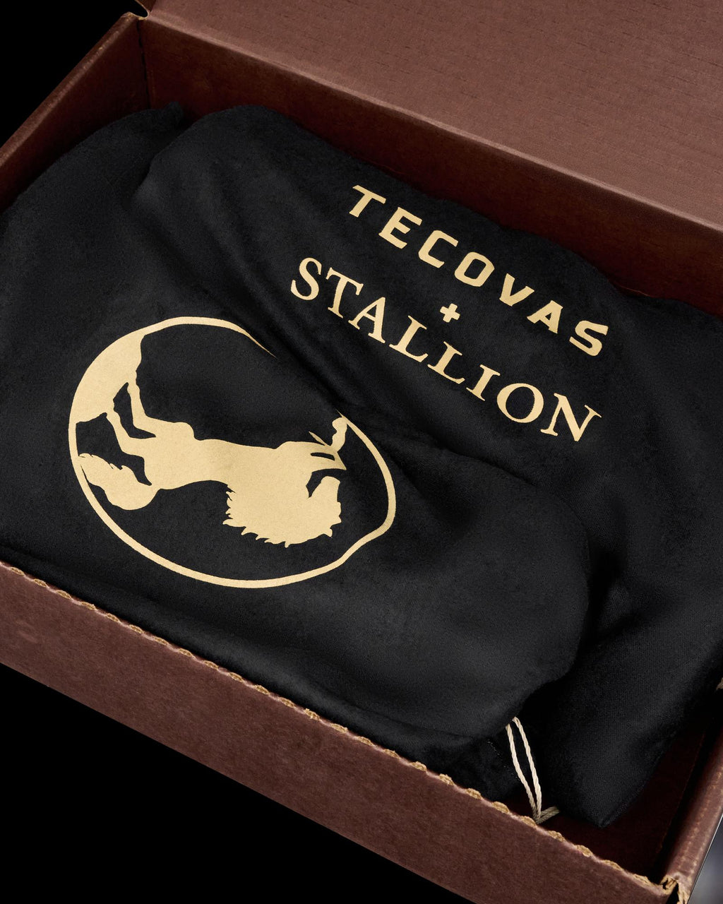 Inside view of The Stallion x Tecovas Boot - Midnight Giant Gator on plain background