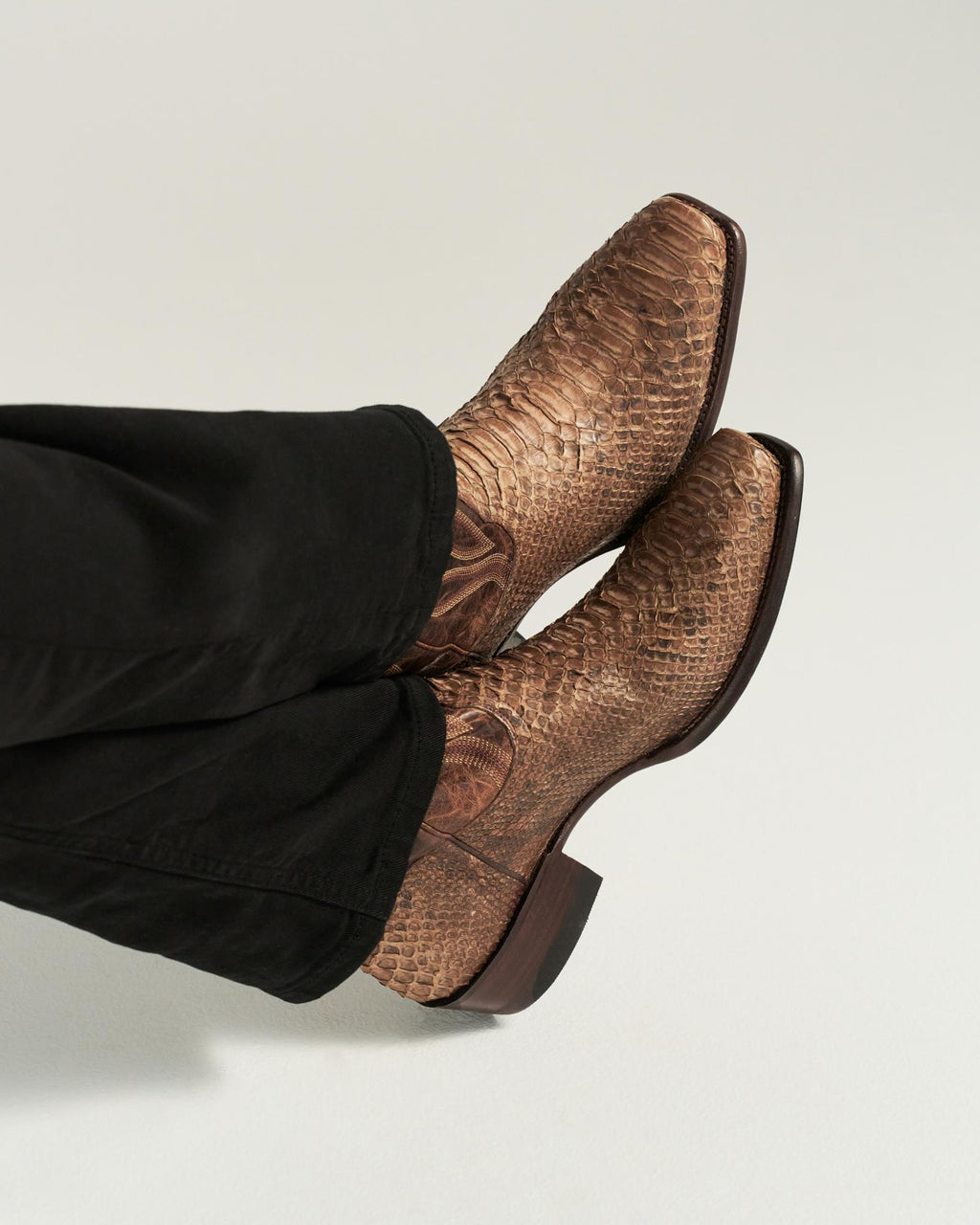 View of The Warren - Ash Brown Python