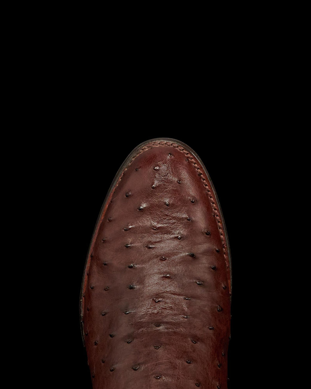 Toe view of The Earl - Hazelnut Ostrich on plain background