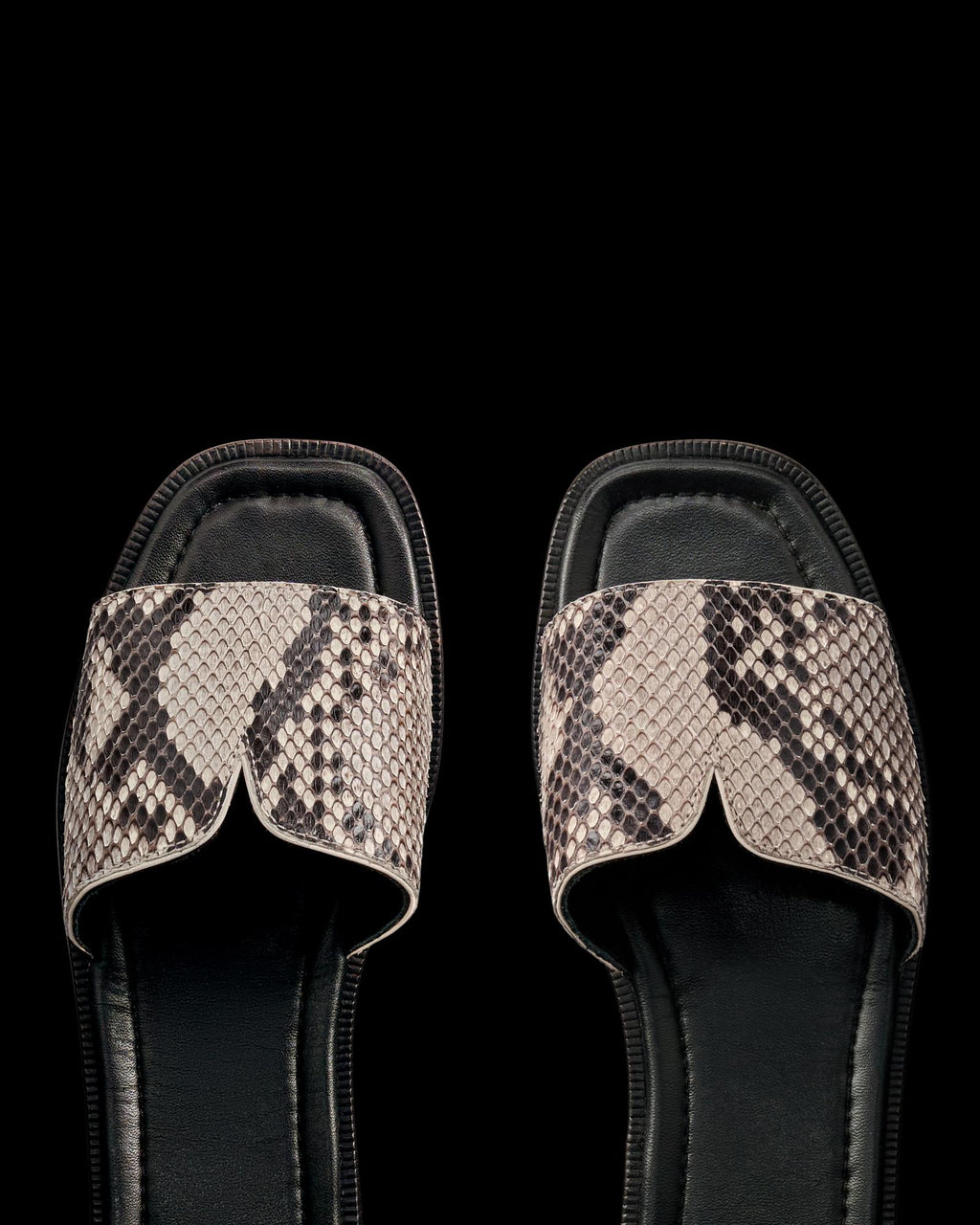 Closeup view of The Carmen - Black/Bone