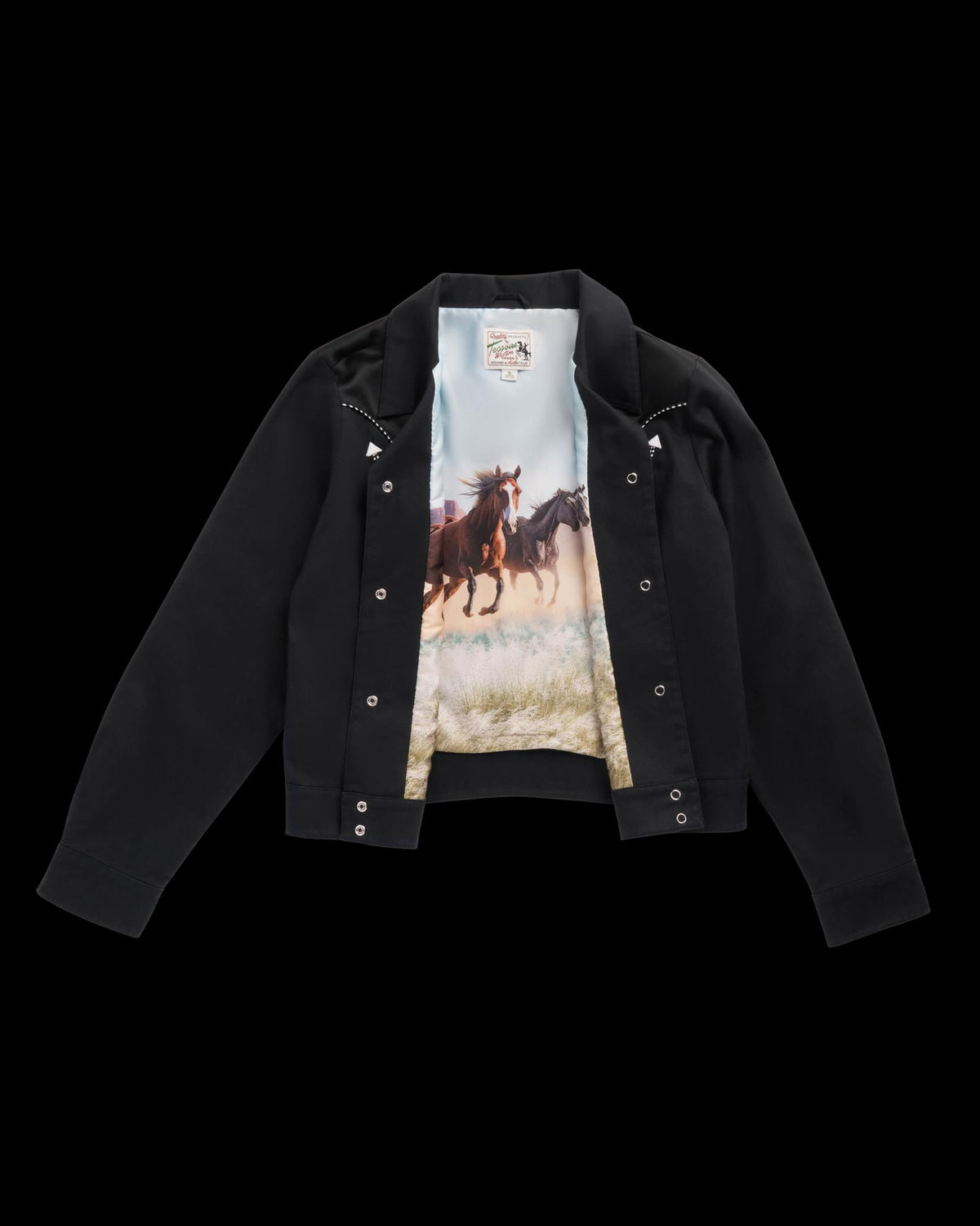 Front view of Women's Dolly Jacket - Black on plain background