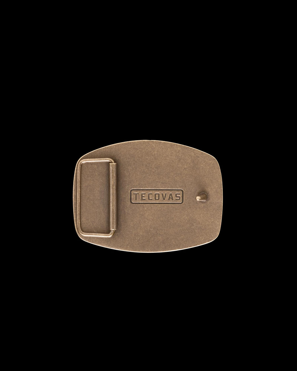 Back view of Bison Buckle - Antique Brass on plain background