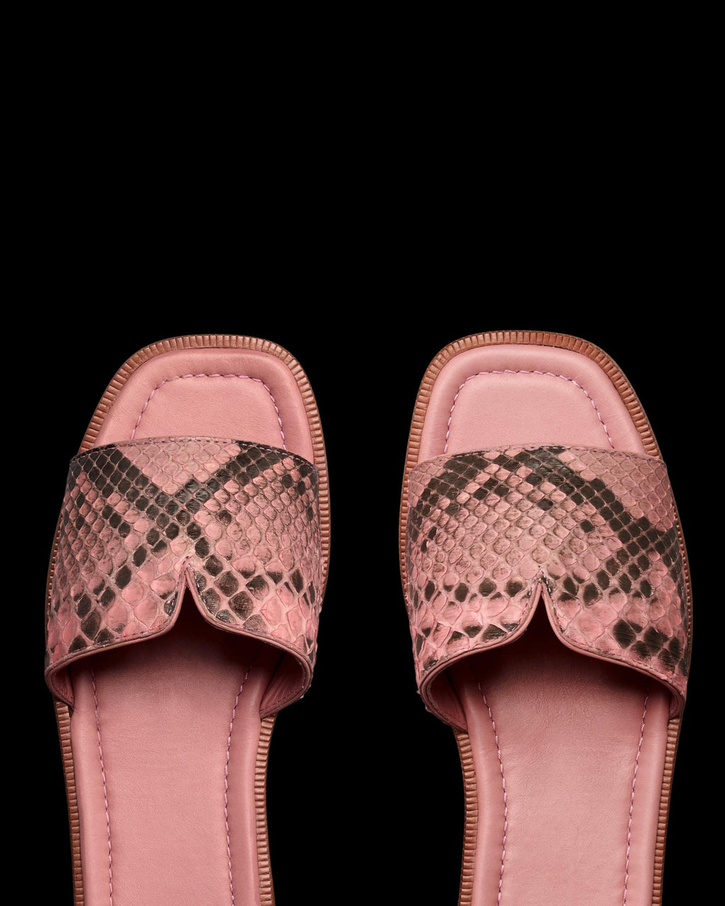 Closeup view of The Carmen - Pink Frost