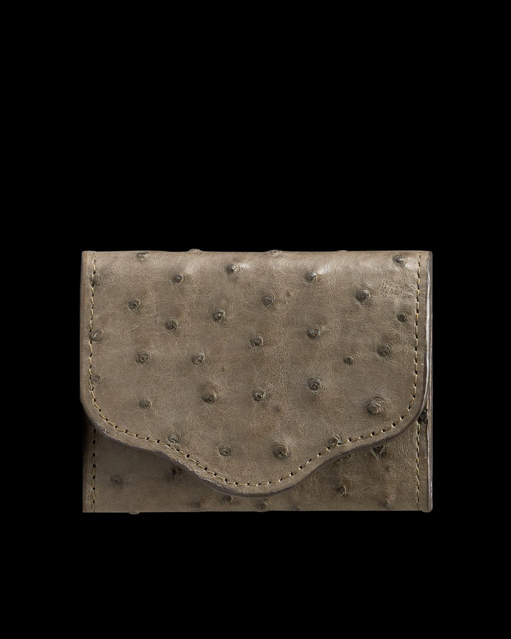 Front view of Ostrich Card Case - Dark Forest on plain background