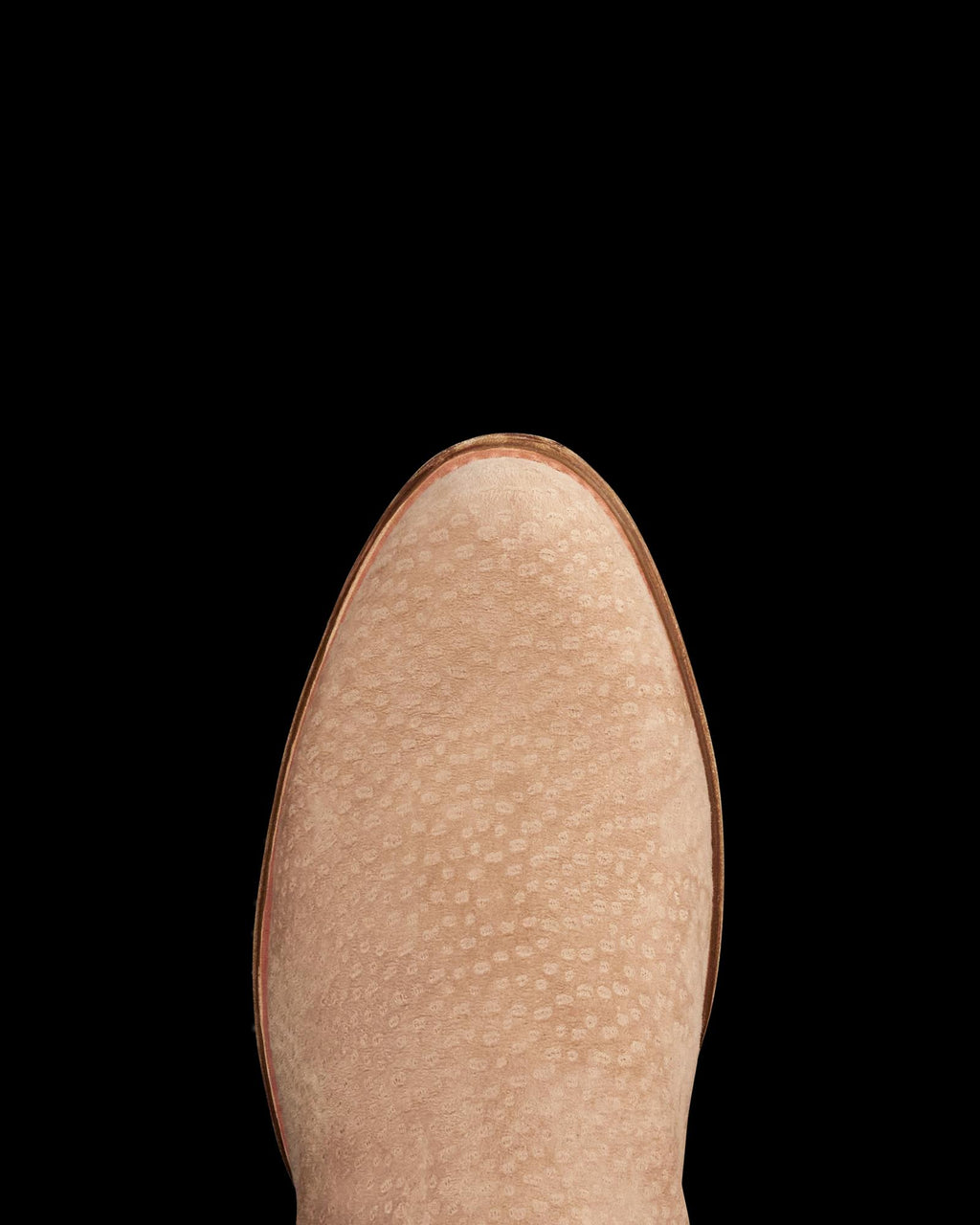 Toe view of The Earl - Sandstone Carpincho on plain background